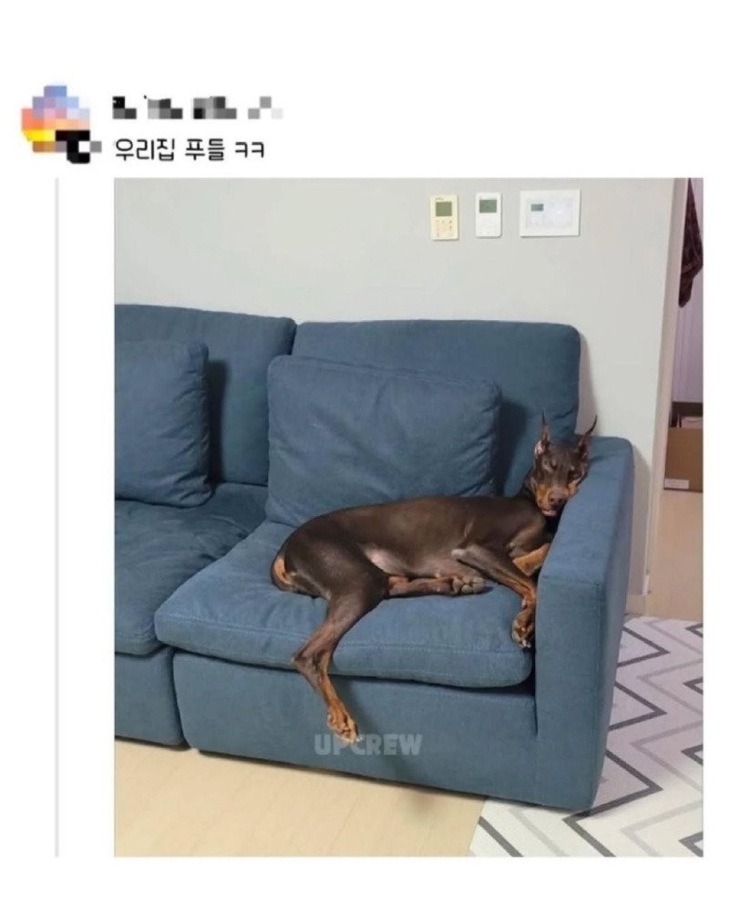 17782884227295.jpg