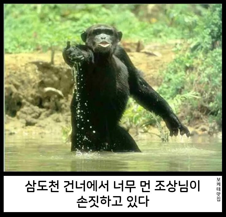 17790228065902.png