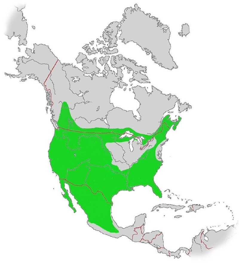 17792820648188.jpg