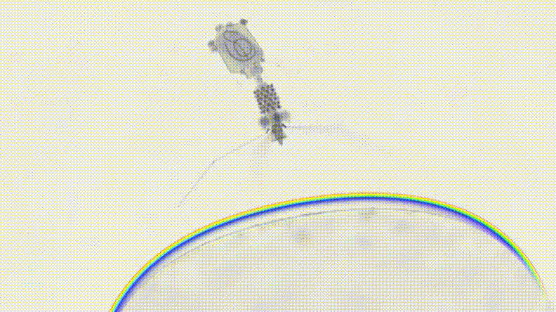 17794116358973.gif
