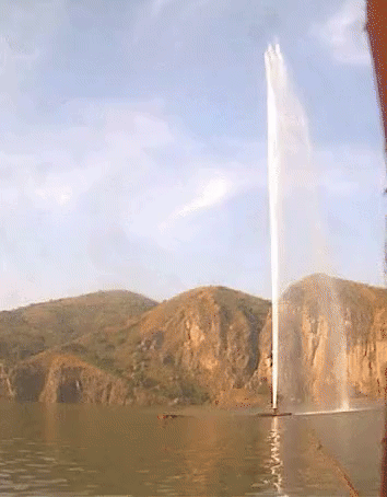17794980298564.gif