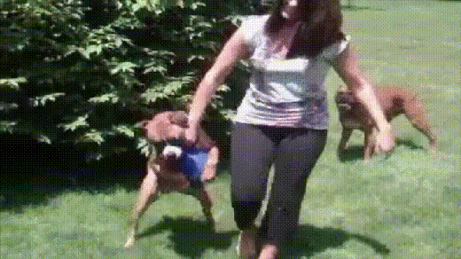 1779541233174.gif