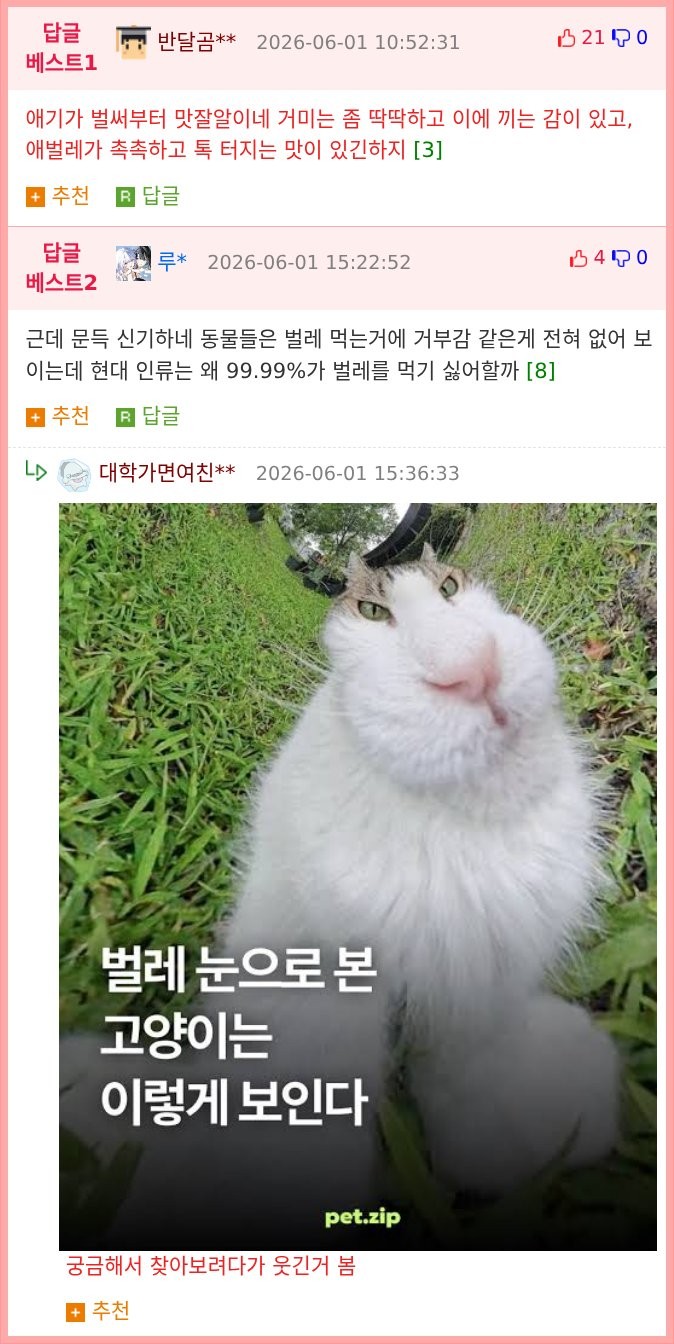 17803188685218.png