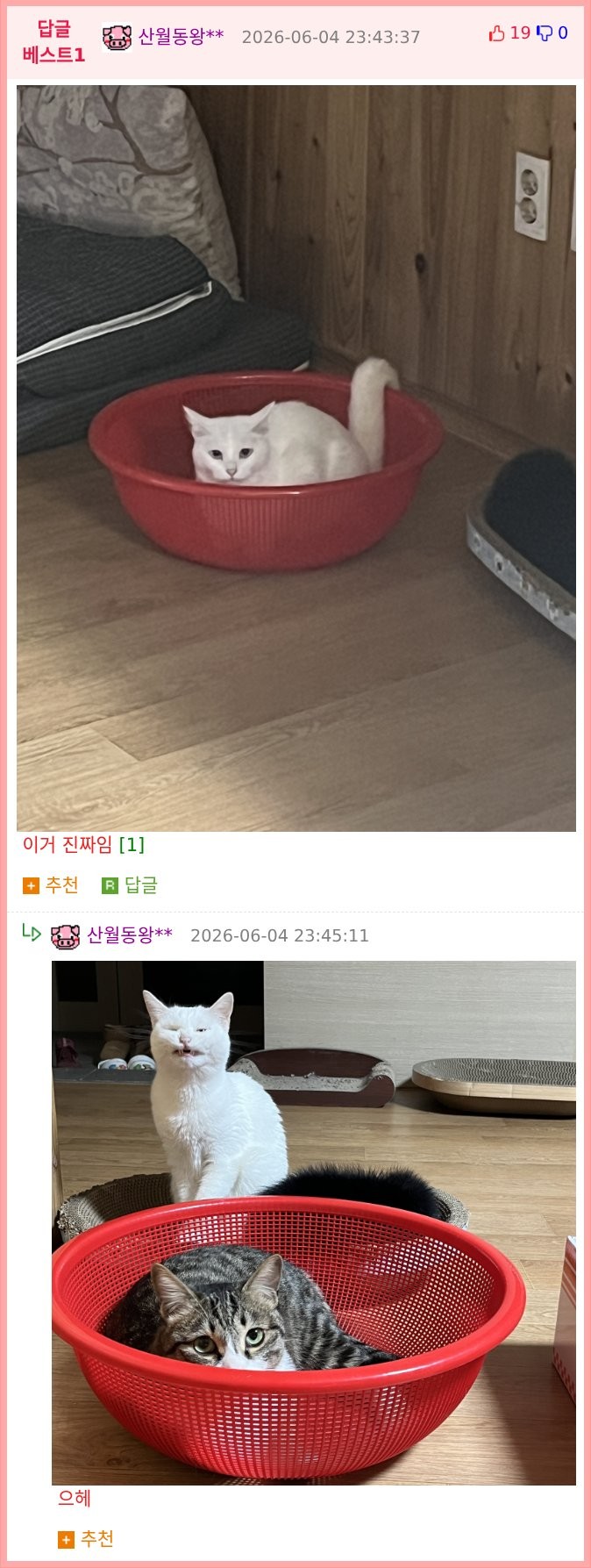 1780621254579.png