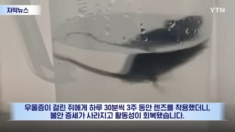 17810532432347.png
