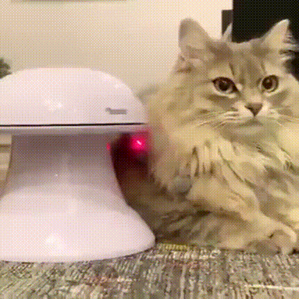 17810964753432.gif