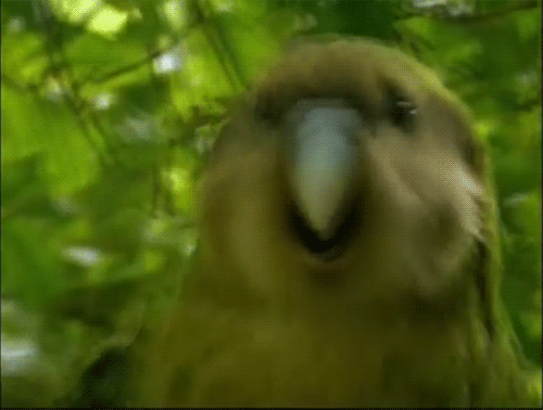 17815284624724.gif