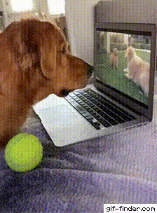 17819604665749.gif