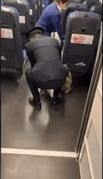 17819604675851.gif