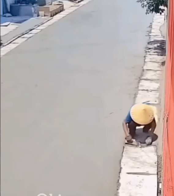 17824356478875.gif
