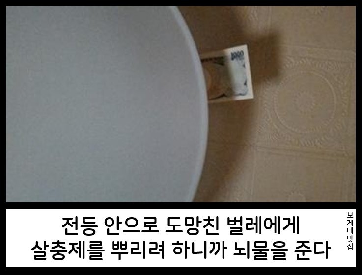 17828244572254.png