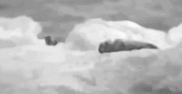 17828244913514.gif