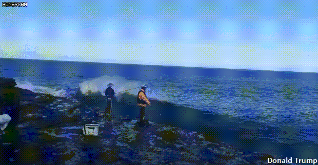 17829108621246.gif