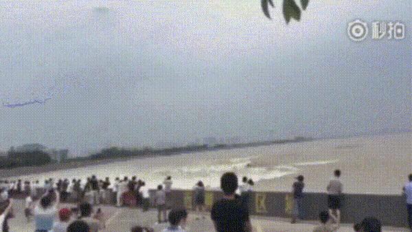17829108632625.gif