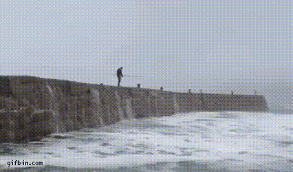 17829108640918.gif