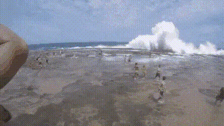 17829108651076.gif