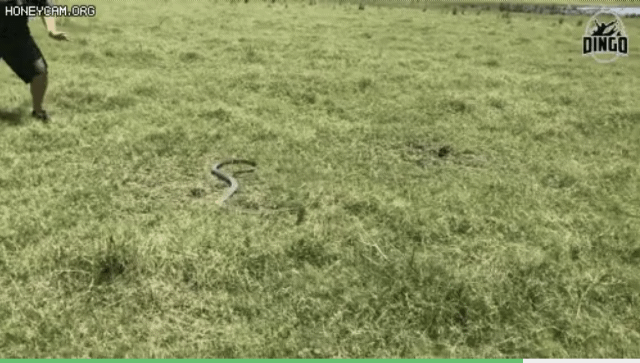 17829972709963.gif