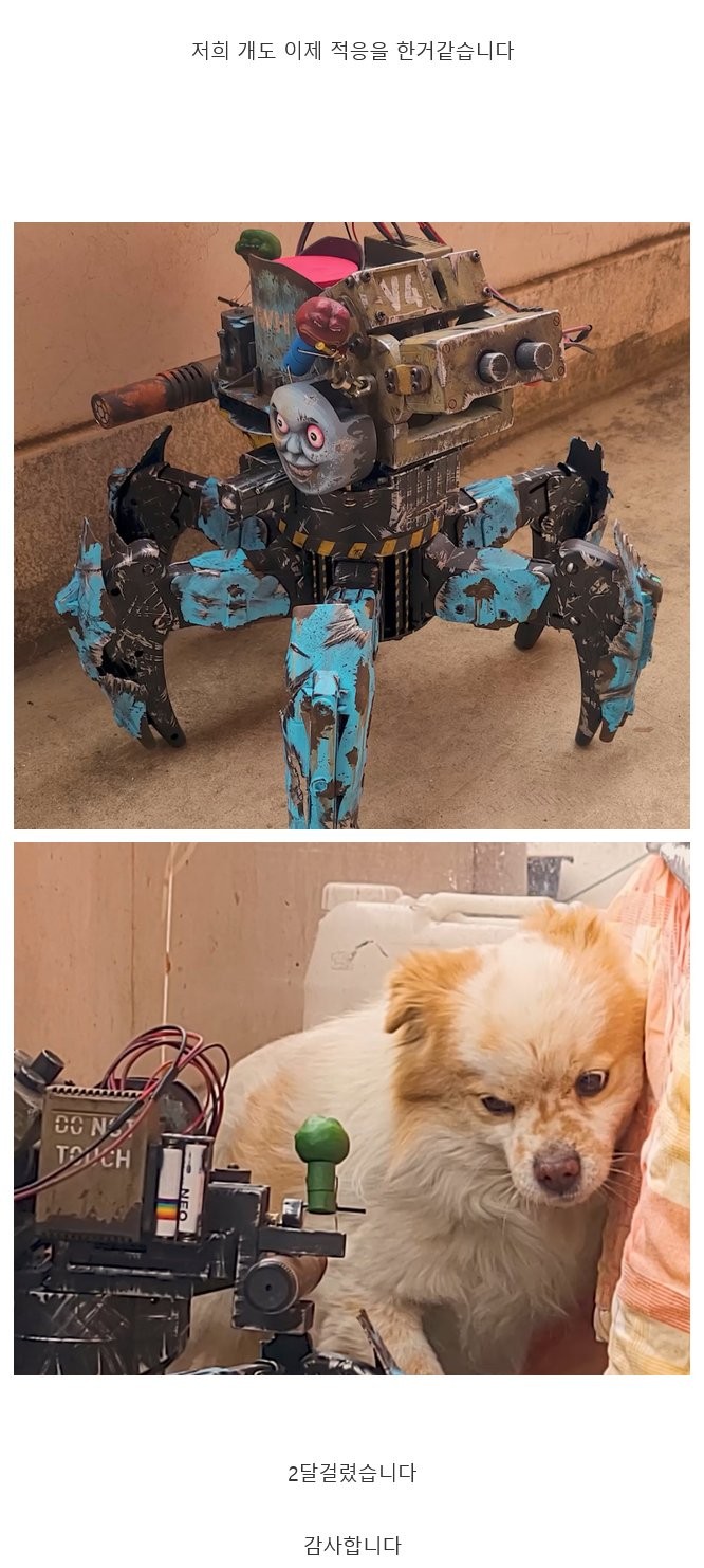 17833428842407.png