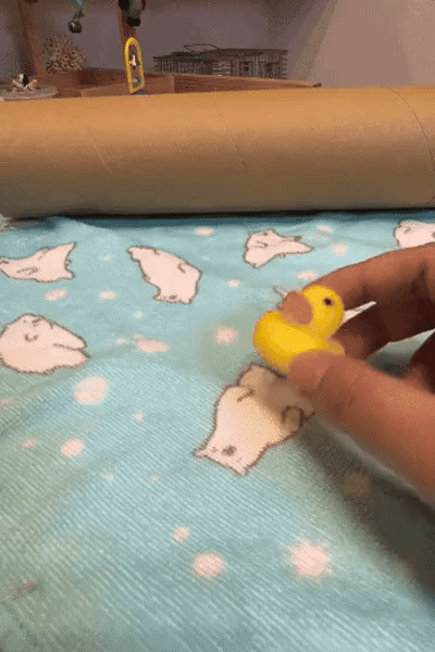 17834724703572.gif