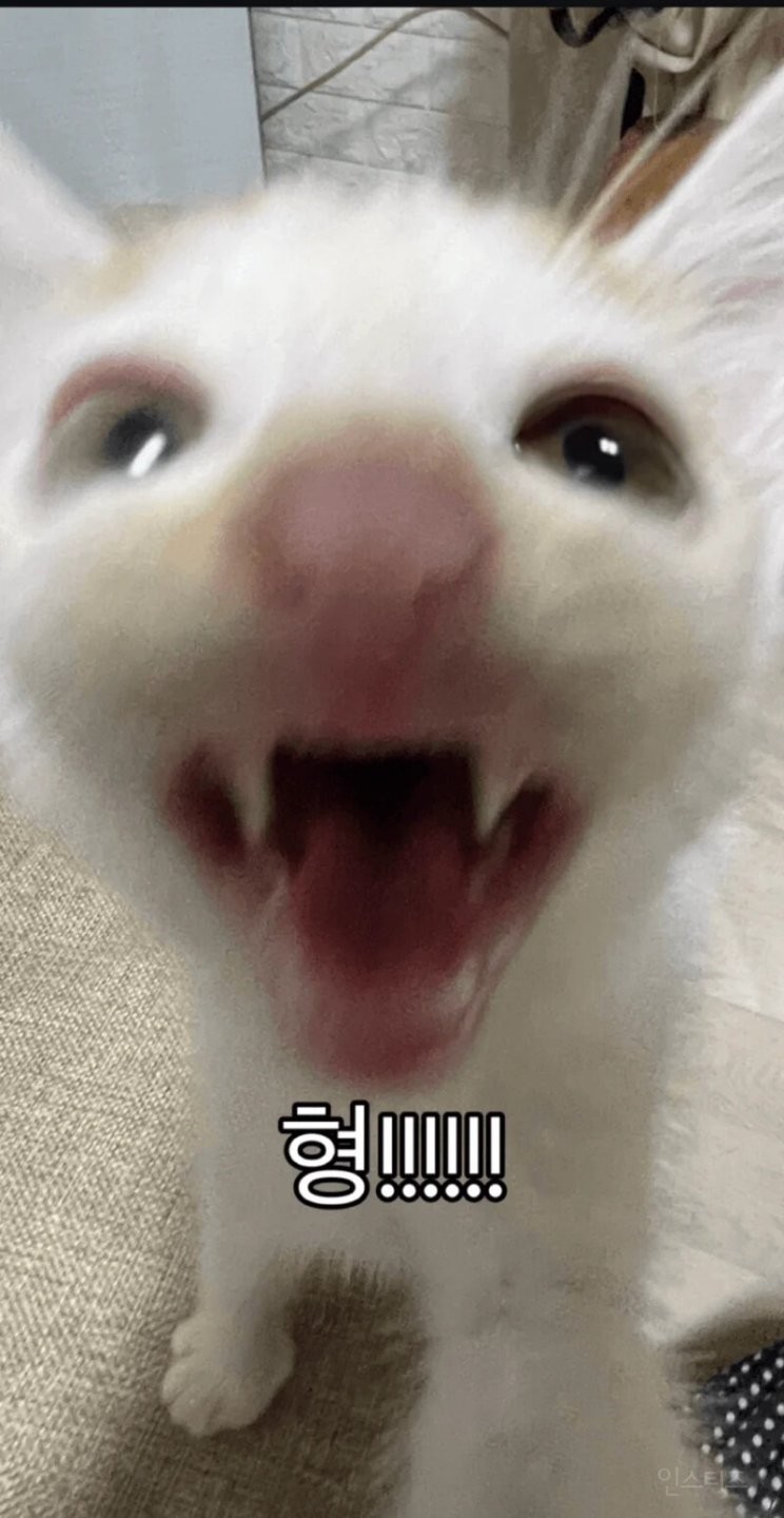 17839044369843.jpg