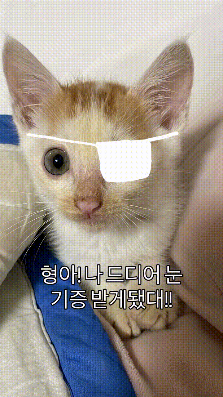 17839044392899.gif
