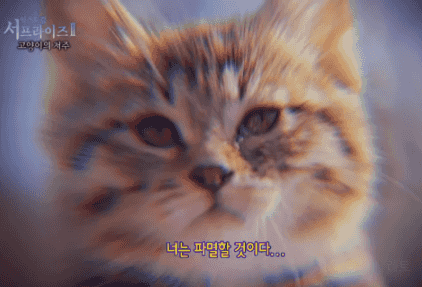 17839908646845.gif