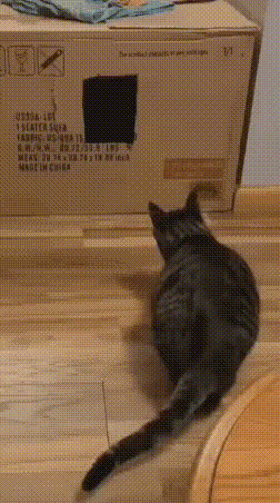 17840340039722.gif