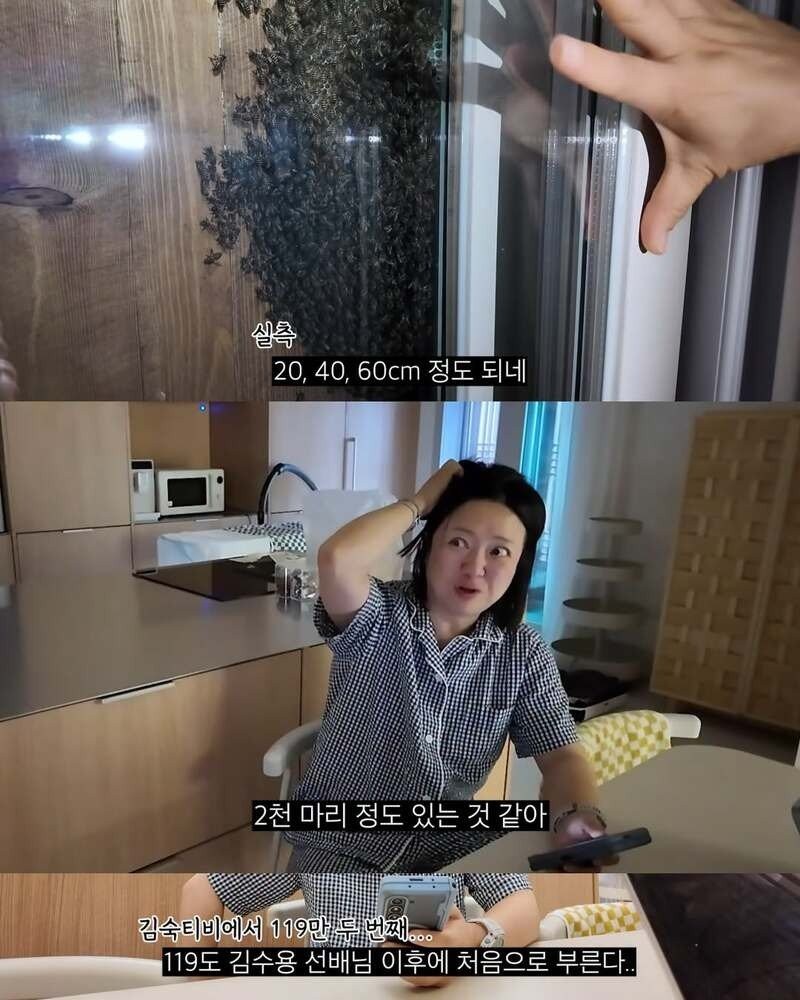 17840340814799.jpg