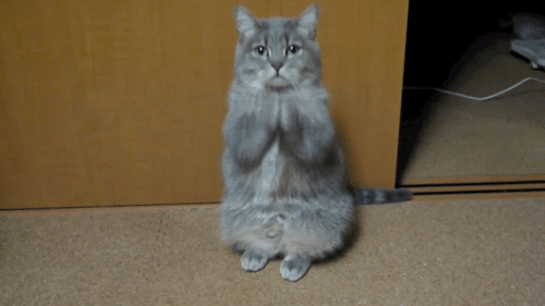 1785330019507.gif