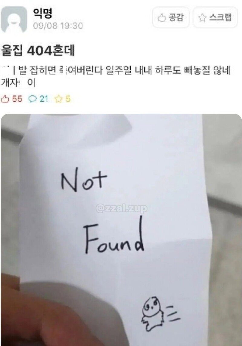 1785546028205.jpg