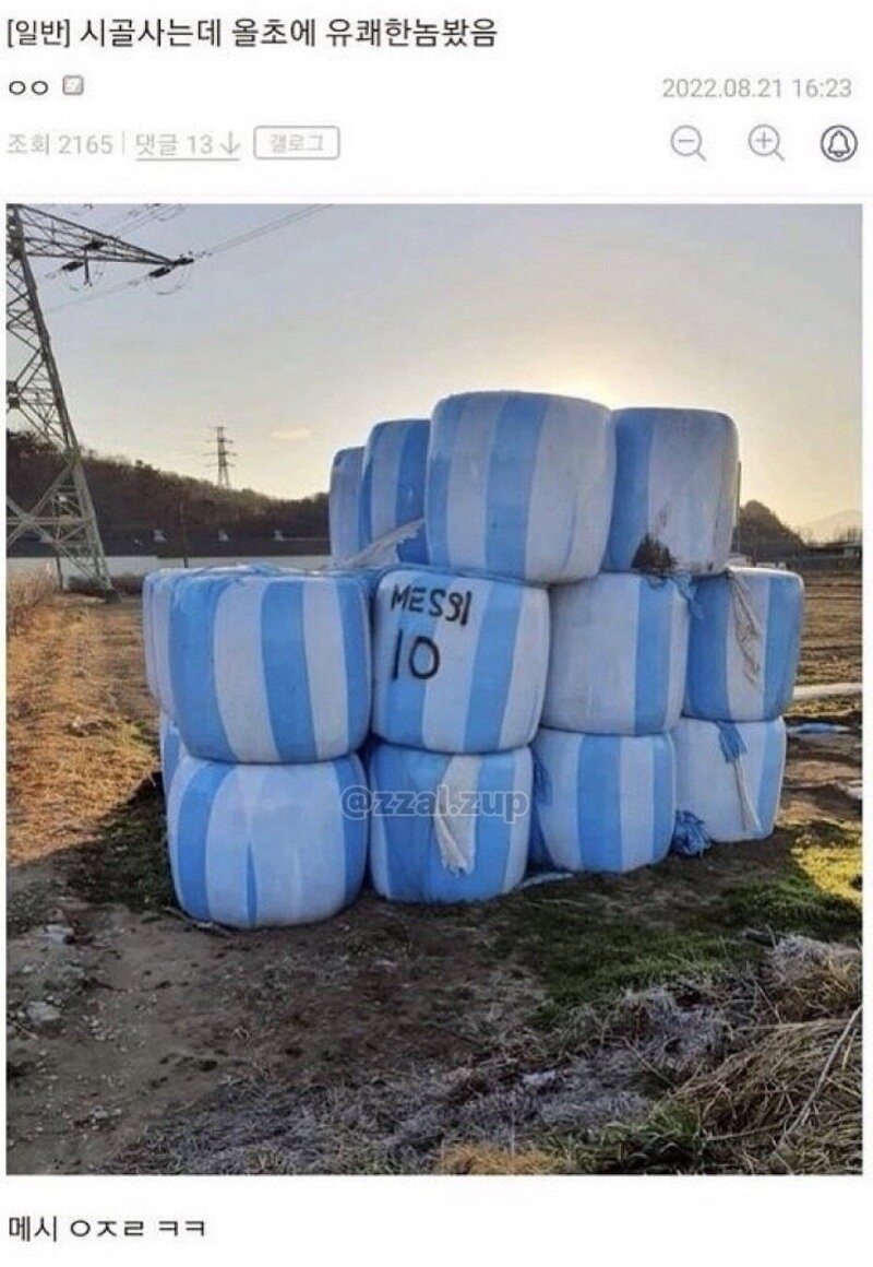 17855460323369.jpg