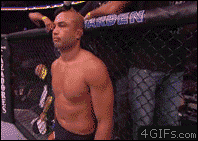 17861940666142.gif