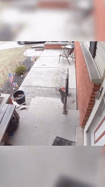 17870148621238.gif