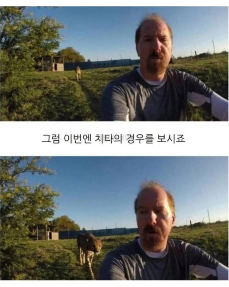 1787360431741.jpg