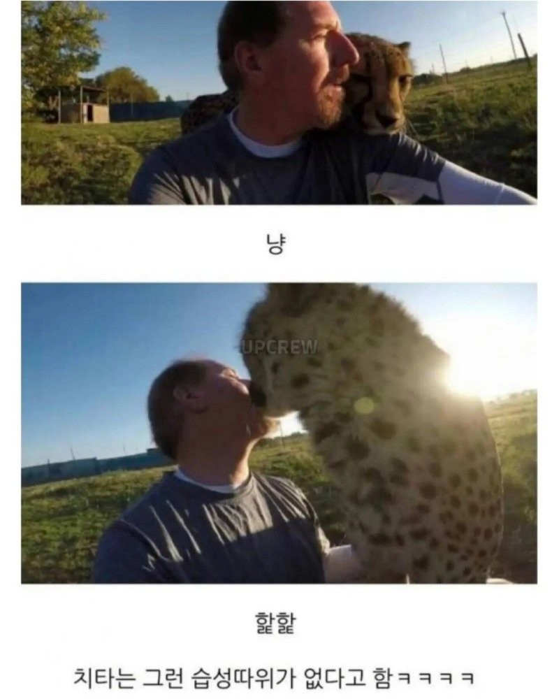 17873604320726.jpg