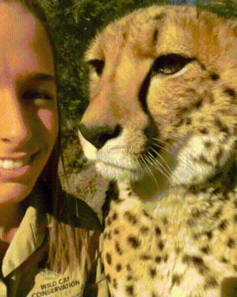 17873604334074.gif