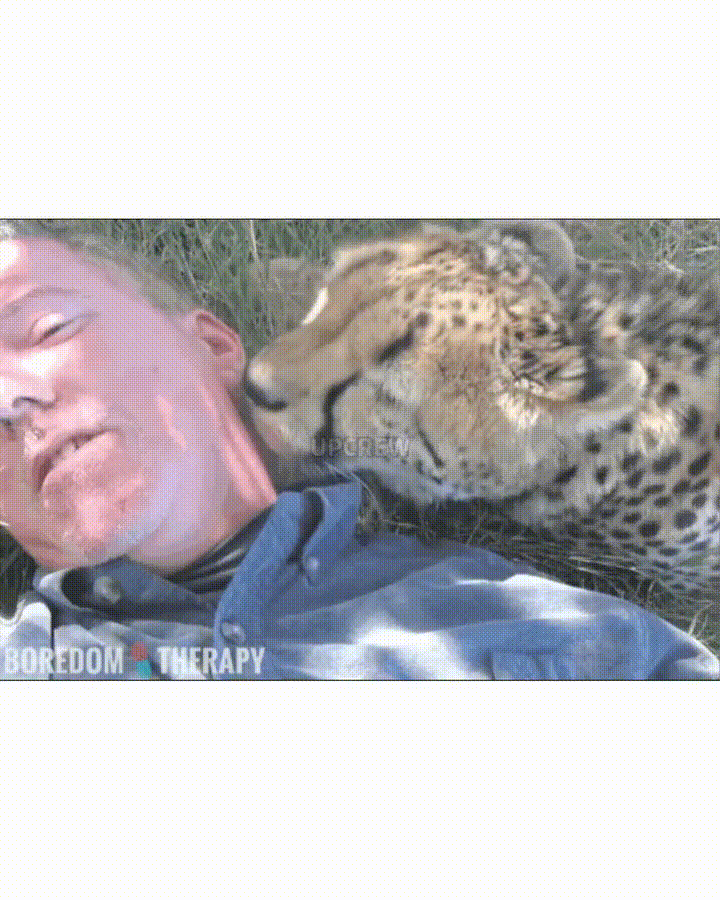 17873604339826.gif