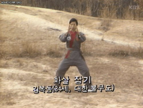 17878788445491.gif