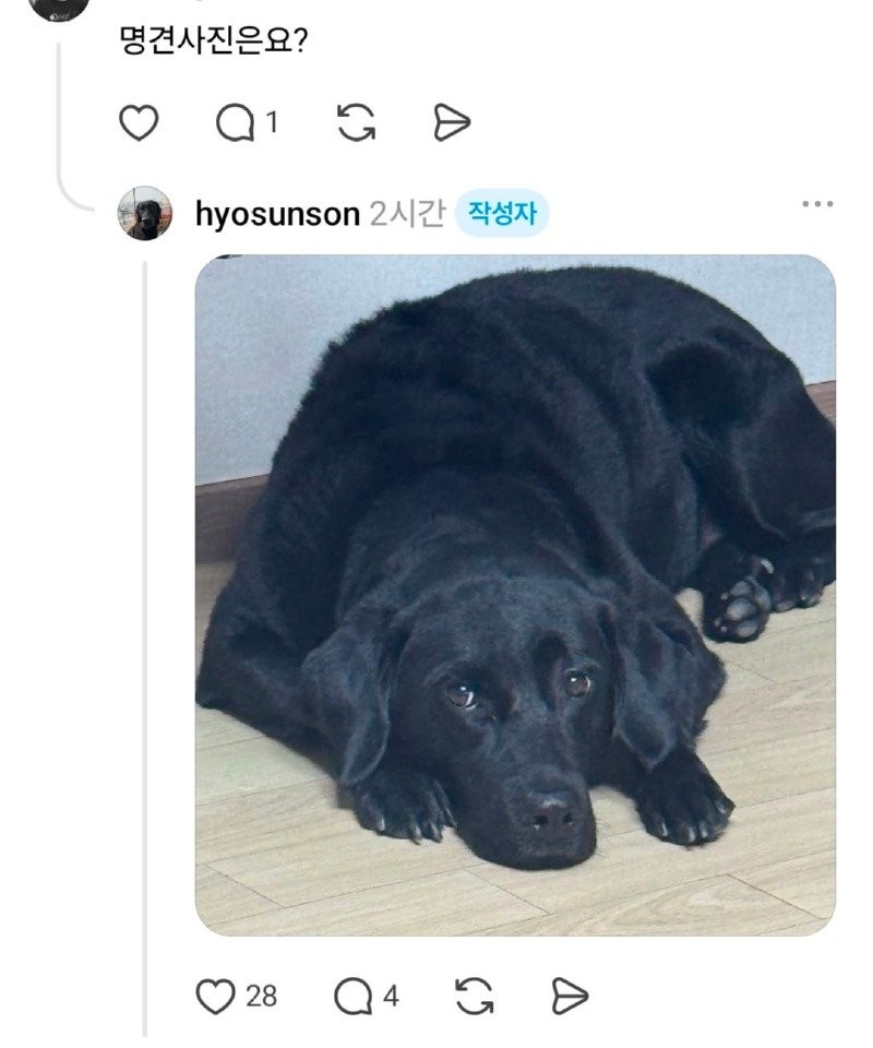 17881380464267.jpg