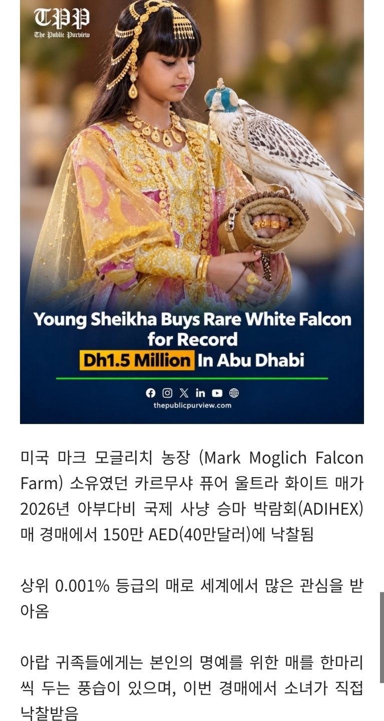 17887860303555.jpg