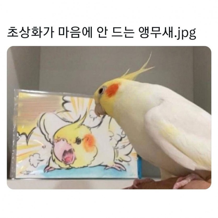 17002081379047.jpg