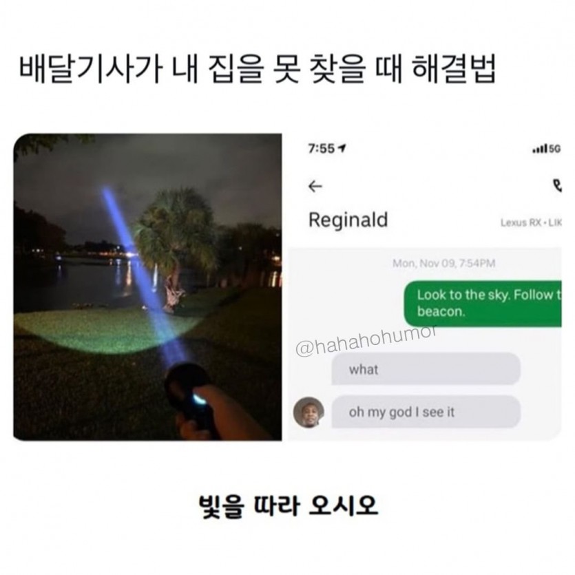 17329392372434.jpg