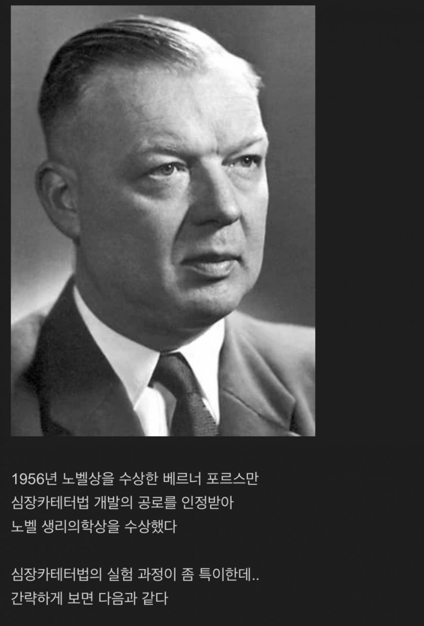 17338788538096.jpg