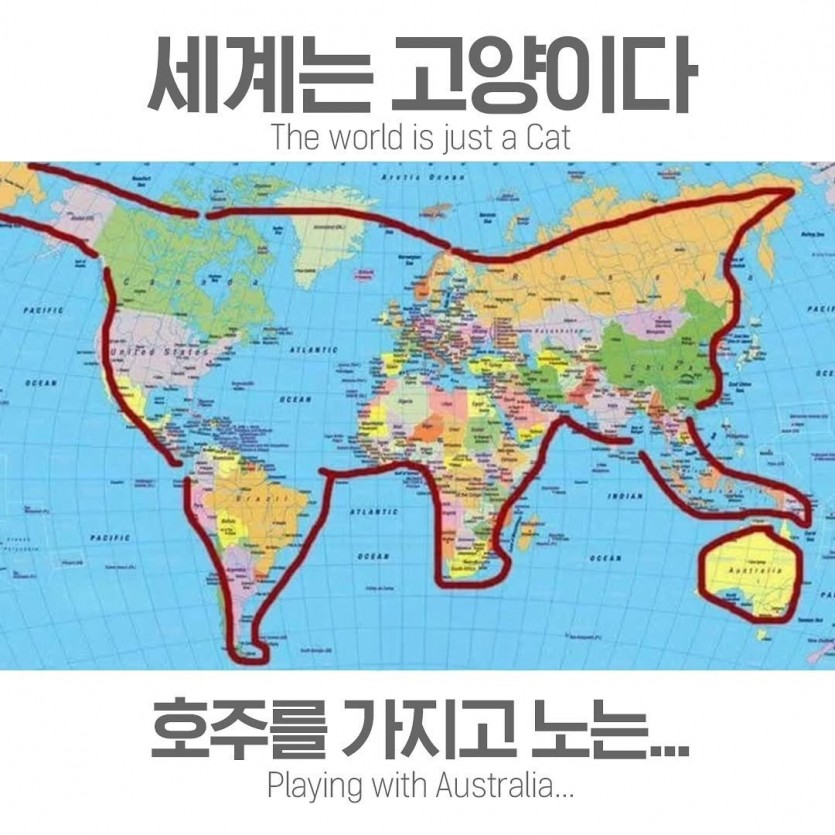 17340084945227.jpg