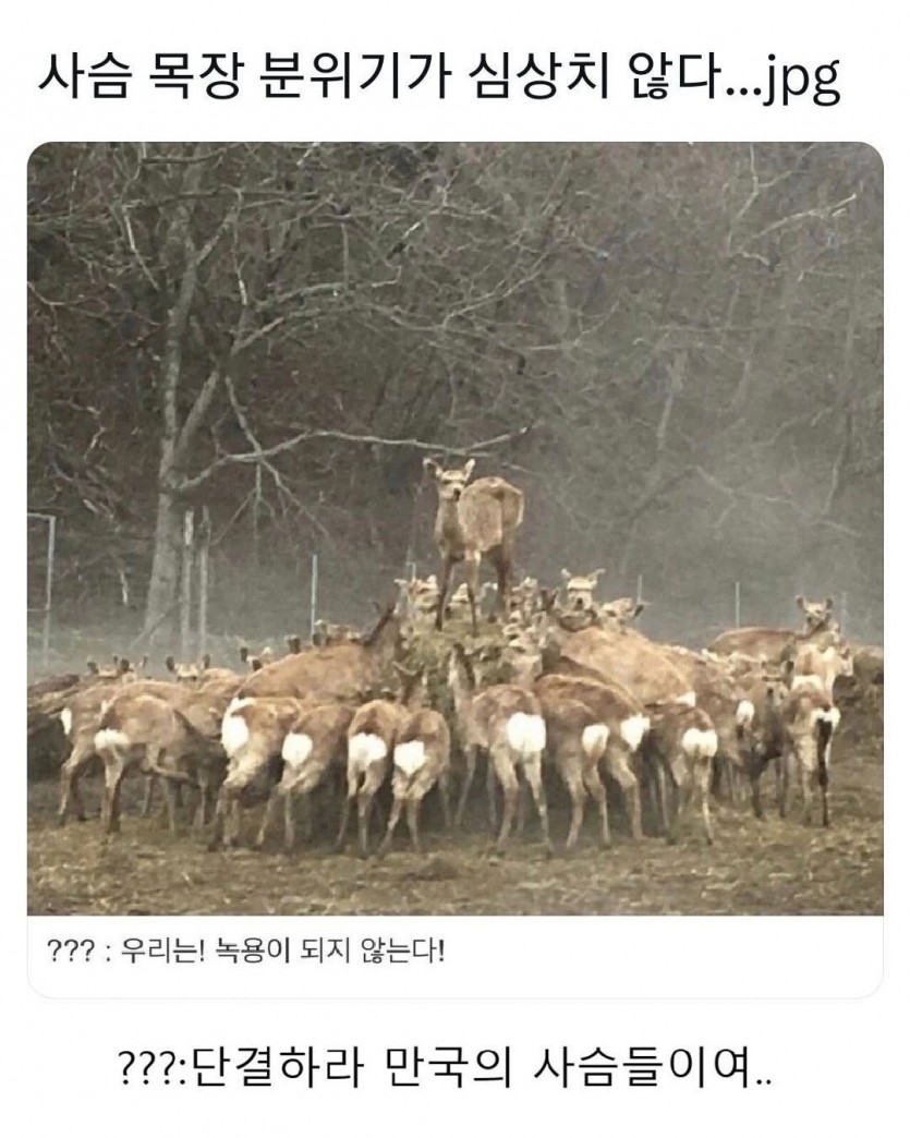 17357796241801.jpg