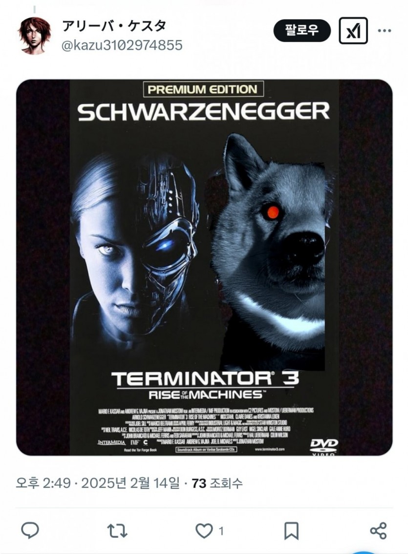 17395380212641.jpg