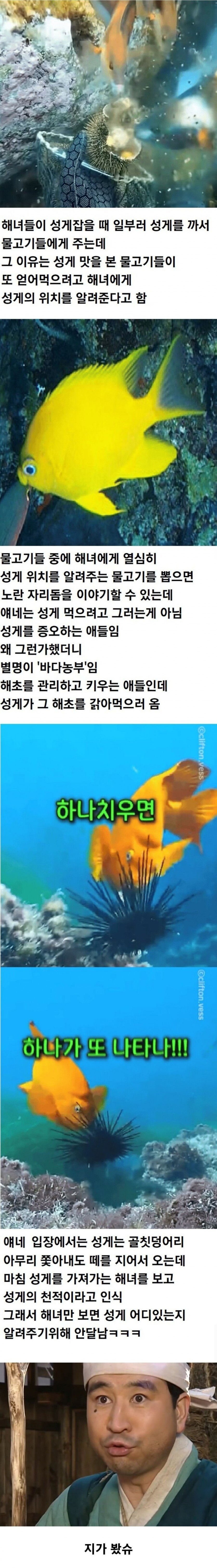 174403085003.jpg
