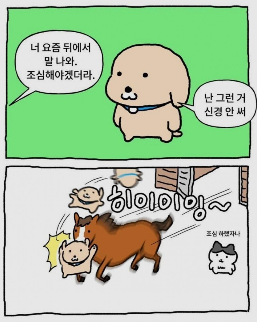 17504244125997.jpg