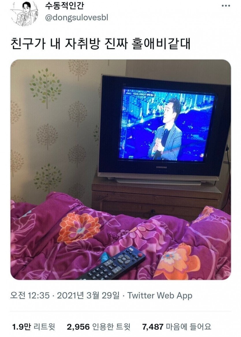 17507268513365.jpg