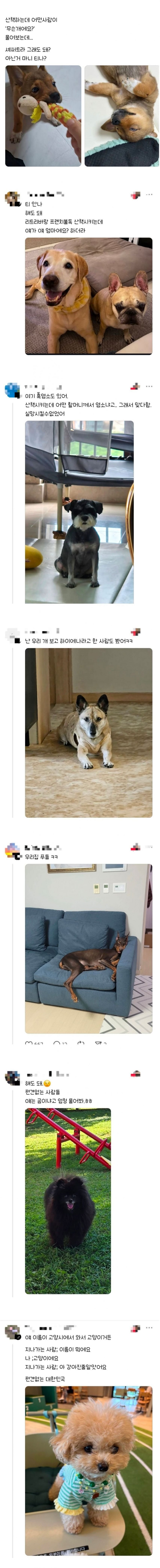 17508996441834.jpg